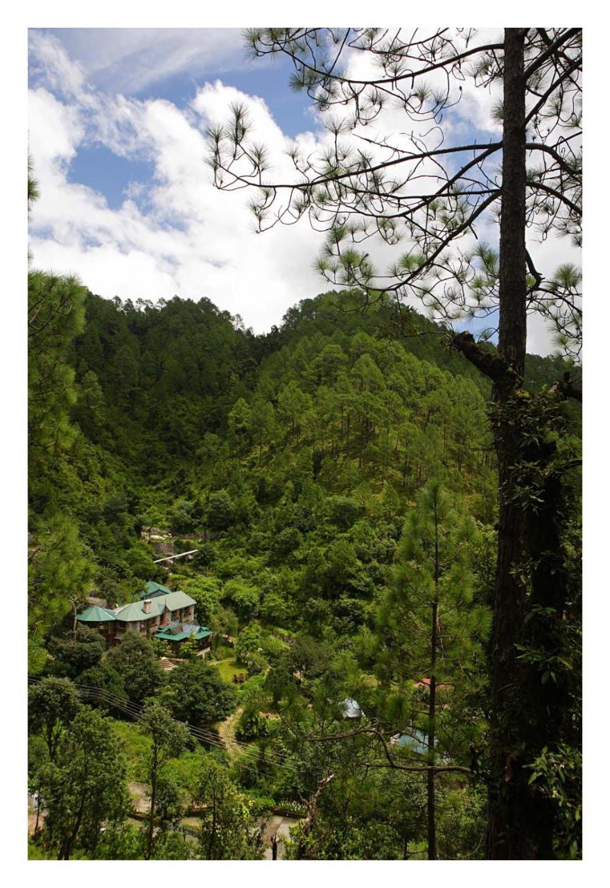 Saffronstays Himalaica, Nainital Bhowali Luaran gambar